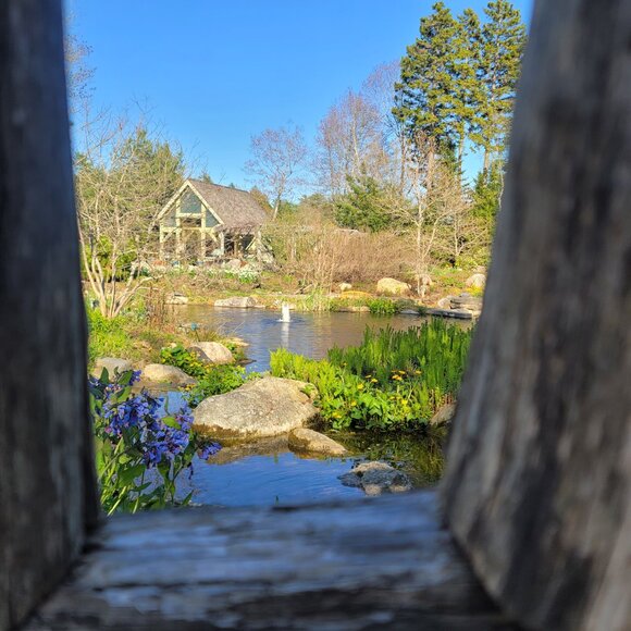 Meet your Posher, Maci - Picture 7 of 11